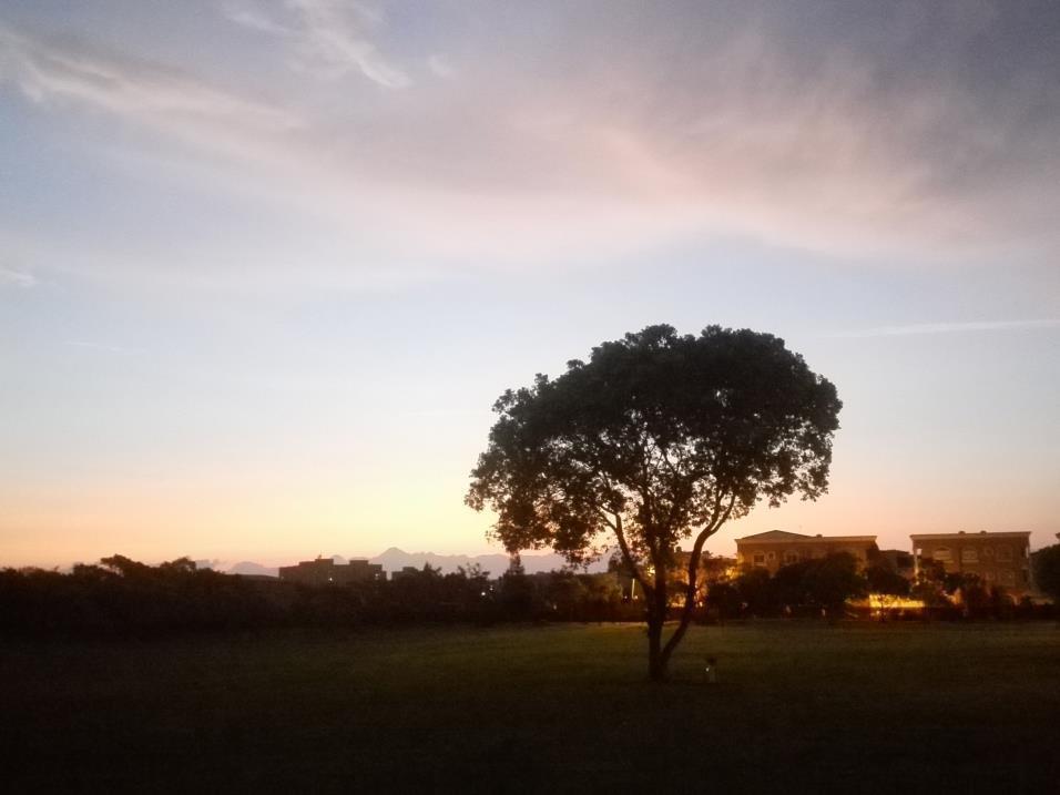 Oak Garden 旅館證號167 民宿證號1359 Hualien City Εξωτερικό φωτογραφία